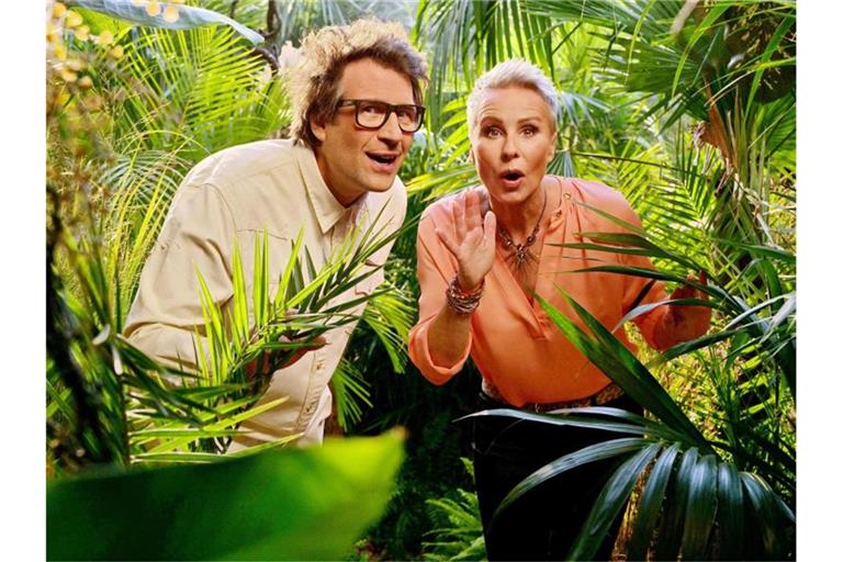 Die Moderatoren des RTL-Dschungelcamp, Daniel Hartwich und Sonja Zietlow. (Archivbild). Foto: Stefan Gregorowius/dpa