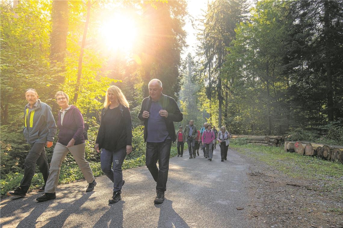 Die Morgensonne im Rücken und die waldgeschichtliche Wanderung im Fischbachtal (Sulzbach) vor sich: Die Wanderer lassen den Tag des Schwäbischen Waldes früh und gut angehen. Foto: A. Becher