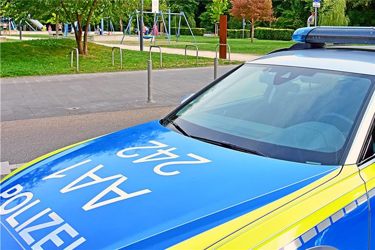 Die Motorhaube und Windschutzscheibe dieses Polizeiautos sind tadellos intakt. Das kann man nicht von dem Streifenwagen behaupten, der in der Nacht auf den heutigen Samstag im Wald drei Pferden begegnet ist. Symbolfoto: Tobias Sellmaier