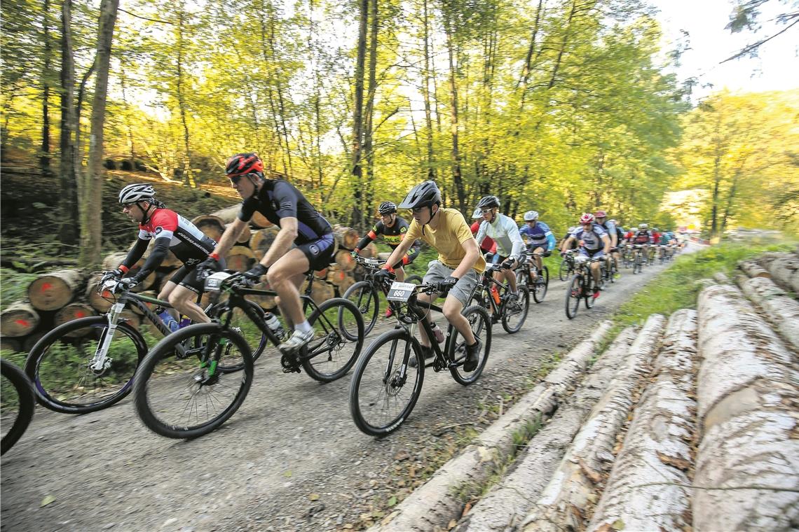 Auf Schotter- und Waldwegen ans Ziel Die Mountainbiker werden am Sonntag wieder durch den Schwäbischen Wald bei Spiegelberg fahren. Foto: A. Becher