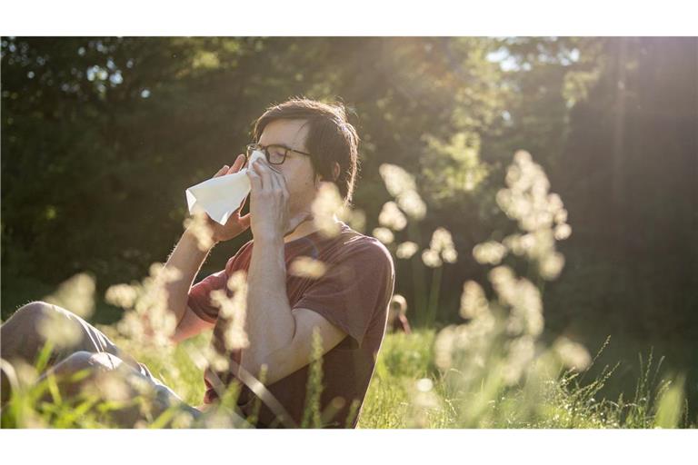 Die Nase juckt, die Augen tränen: Allergiker spüren die Belasstung durch Pollen derzeit besonders.