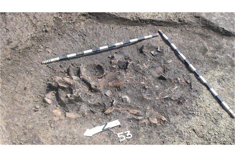 Die neolithischen Bauern entsorgten ihren Abfall häufig in Gruben in der Nähe ihrer Wohnhäuser.