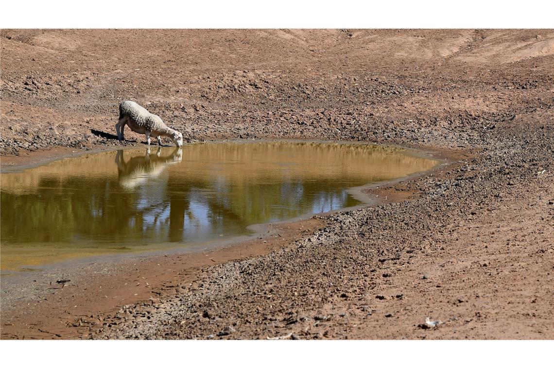Die NOAA hat den Beginn von El Niño verkündet. (Symbolbild)