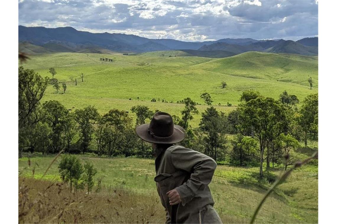 Drohnen und Spinifex: Wie Australien die Klimakrise bekämpft Die Ökologin Dr. Charlotte Mills überprüft das Wachstum einiger von AirSeed gepflanzter Bäume. Foto: --/AirSeed/dpa