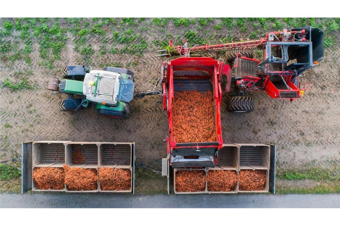 Bio legt weiter kräftig zu - bleibt das robust?