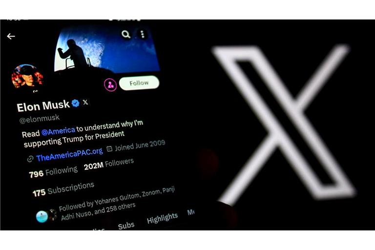 Die Online-Plattform X ist am Freitagnachmittag in mehreren Ländern ausgefallen.