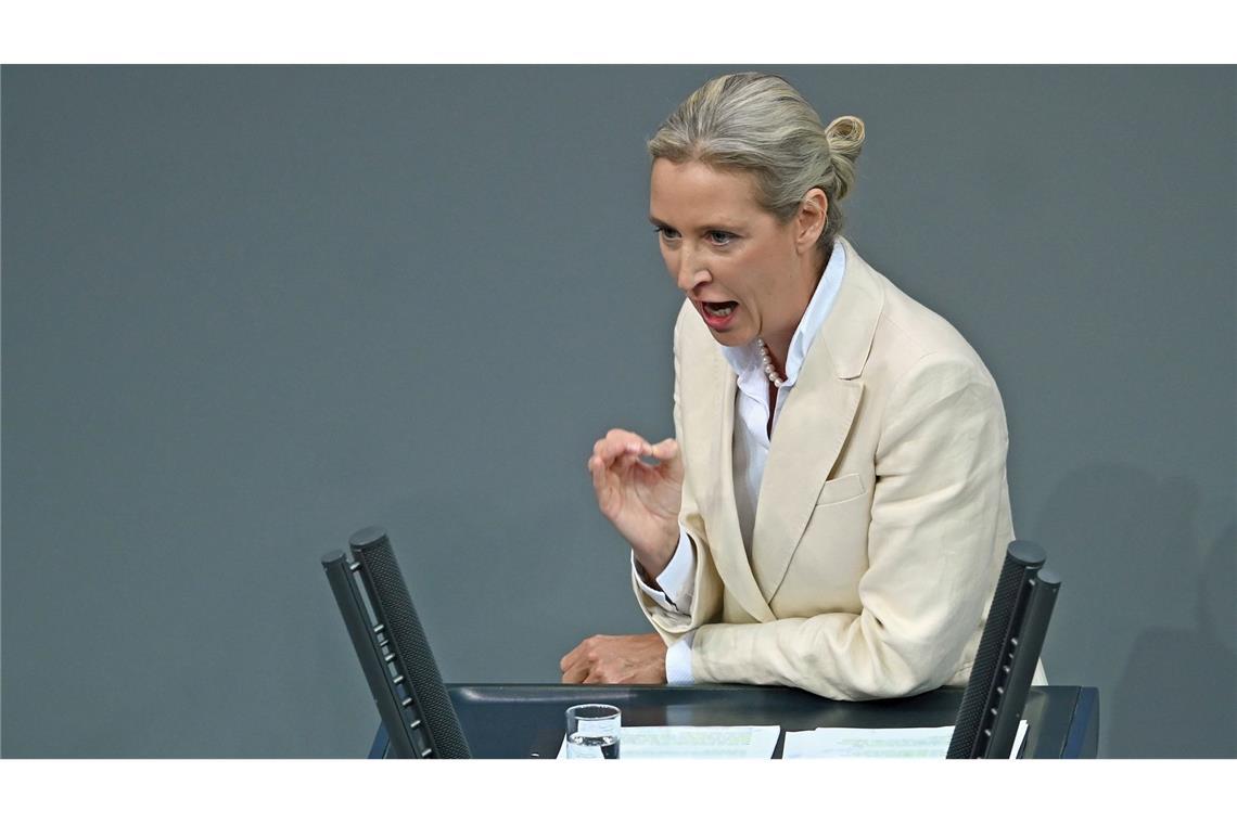 "Üble Nachrede": Merz wehrt sich gegen Weidels Lügen-Vorwurf Die Oppositionsführerin Weidel attackiert den Kanzler hart in ihrer Rede