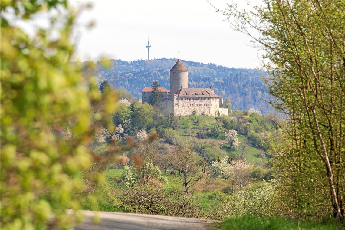 Nur zehn Prozent Regen im April Die Optik täuscht. Zwar blüht und grünt es allerorten, wie zum Beispiel im Bereich rund um die Burg Reichenberg, aber die Trockenheit im Wald, auf den Feldern, den Streuobstwiesen und in den Gärten ist bereits alarmierend. Und noch hat die Hitze des Sommers nicht begonnen. Foto: A. Becher