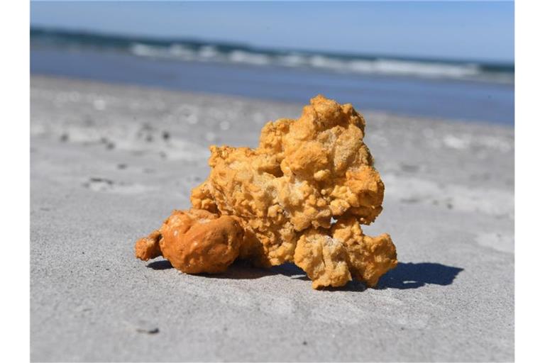 Die Ostsee ist nicht im besten Zustand - auch, weil zu viel Müll wie dieser Kunststoffschaum vom Bau im Wasser schwimmt. Foto: Stefan Sauer/dpa-Zentralbild/dpa