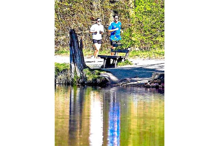 Die Parkseen sind ein beliebtes Ausflugsziel in Stuttgart. Nun ist der Bärensee mit Blaualgen befallen.