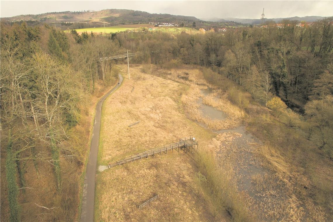 Natur im Brigachtal für Beton in Backnang