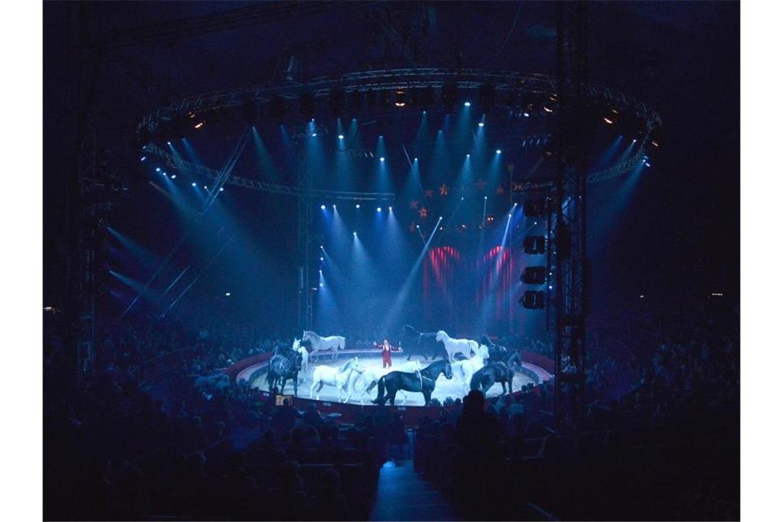„Weltweihnachtscircus“ setzt auf Pferde und Fahrrad-Pyramide Die Pferdedressur eines Zirkus in der Manege des Weltweihnachtscircus in Stuttgart ihren Auftritt. Foto: Nikolai Huland