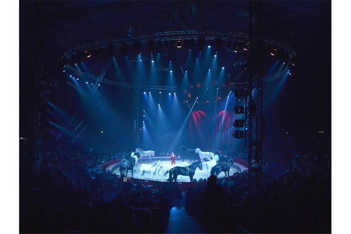 Die Pferdedressur eines Zirkus in der Manege des Weltweihnachtscircus in Stuttgart ihren Auftritt. Foto: Nikolai Huland