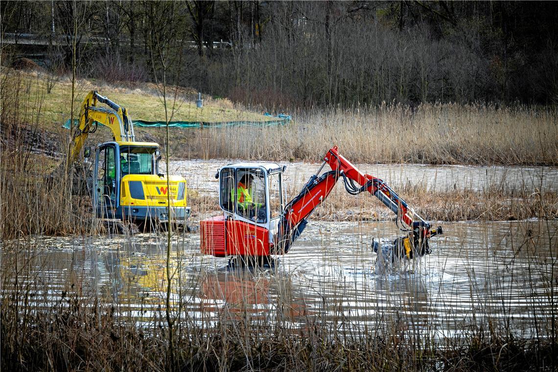 Die Pflege des Biotops Pfaffenrinne ist aufwendig: Um die zunehmende Verlandung zu bekämpfen, wurde der Teich 2022 ausgebaggert. Eine Dauerlösung ist das aber nicht. Archivfotos: Alexander Becher, Tobias Sellmaier