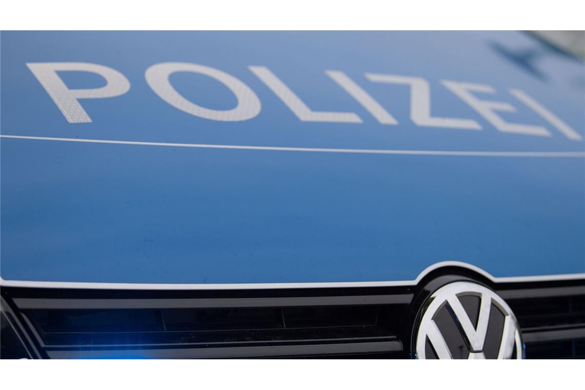 Urlauber stehlen Rassekatze und stellen „Bedingungen“ für Rückgabe Die Polizei ermittelt nun wegen Diebstahls. (Symbolbild)