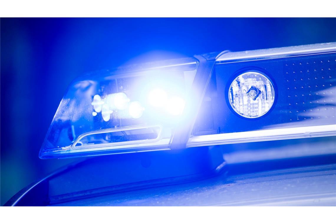 Die Polizei hat bei Leipzig einen entlaufenen Tiger erschossen. (Symbolbild)