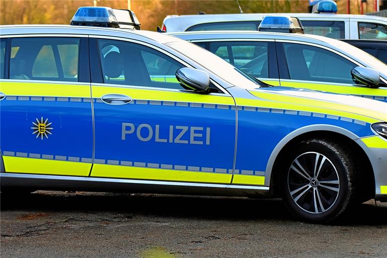 Die Polizei hat den Mann am Backnanger Bahnhof festgenommen. Symbolfoto: Tobias Sellmaier