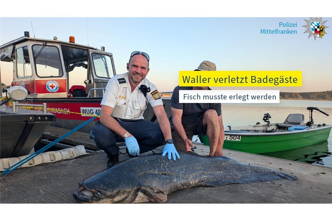 Fünf Badegäste gebissen: Polizist erschießt Zwei-Meter-Fisch