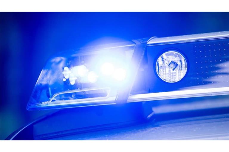 Die Polizei hat einen betrunkenen Autofahrer schlafend im Gebüsch entdeckt (Archivbild).