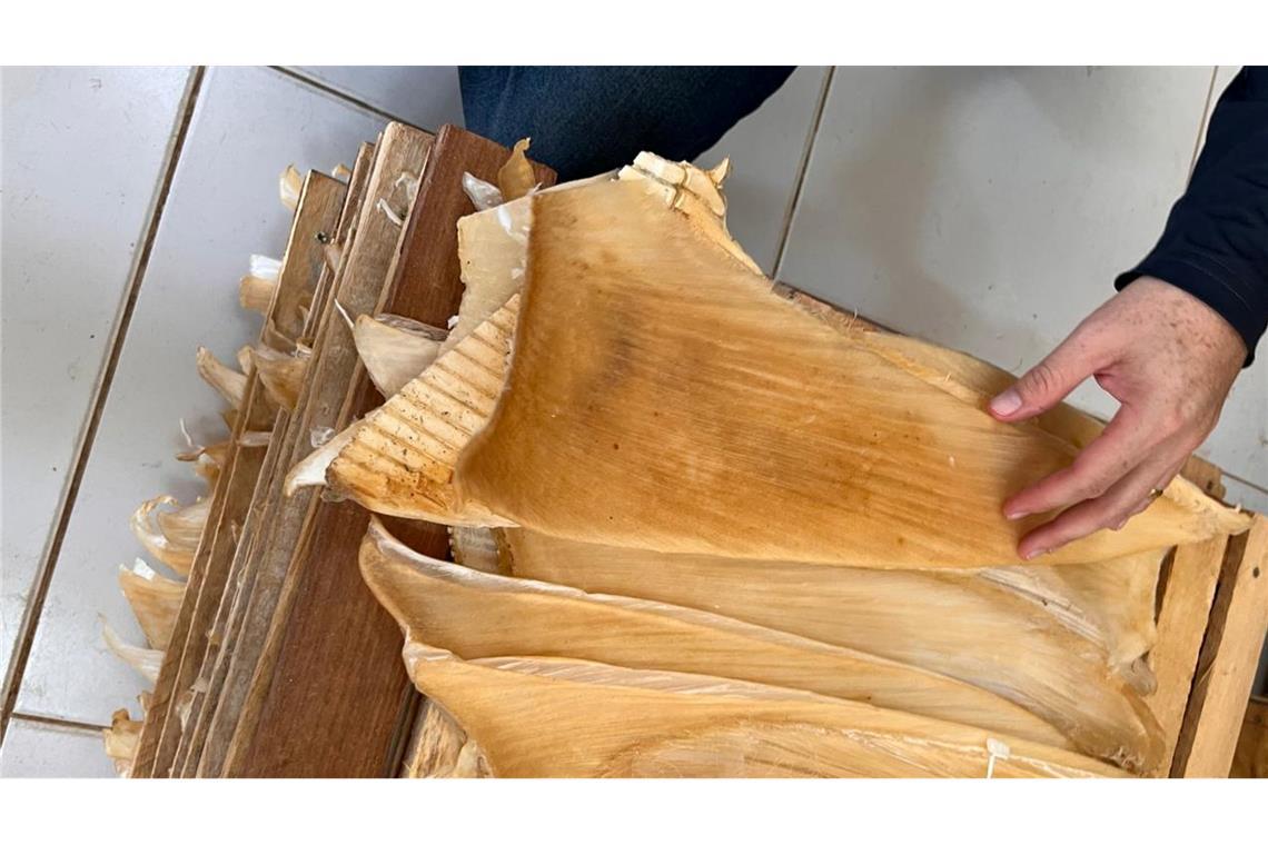 Die Polizei hat mehr als 1,5 Tonnen Haiflossen beschlagnahmt.