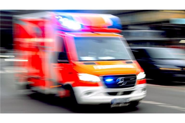 Die Polizei hat sechs Cannabispflanzen sichergestellt, die zufällig bei einem Feuerwehreinsatz in Steinen entdeckt wurden. (Symbolbild)