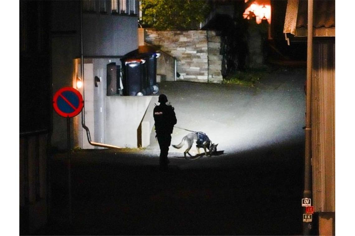 Die Polizei ist auch mit Hunden im Einsatz. Foto: Håkon Mosvold Larsen/NTB/dpa