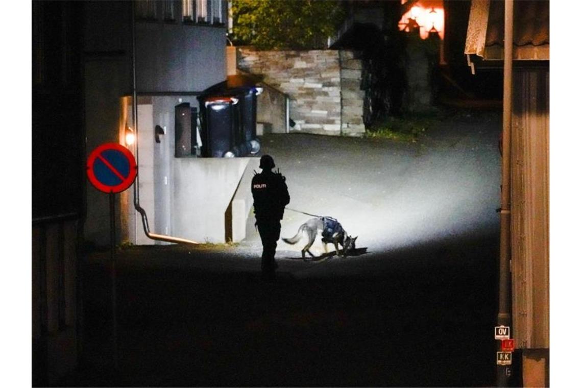 Fünf Tote nach Attacken mit Pfeil und Bogen in Norwegen Die Polizei ist auch mit Hunden im Einsatz. Foto: Håkon Mosvold Larsen/NTB/dpa