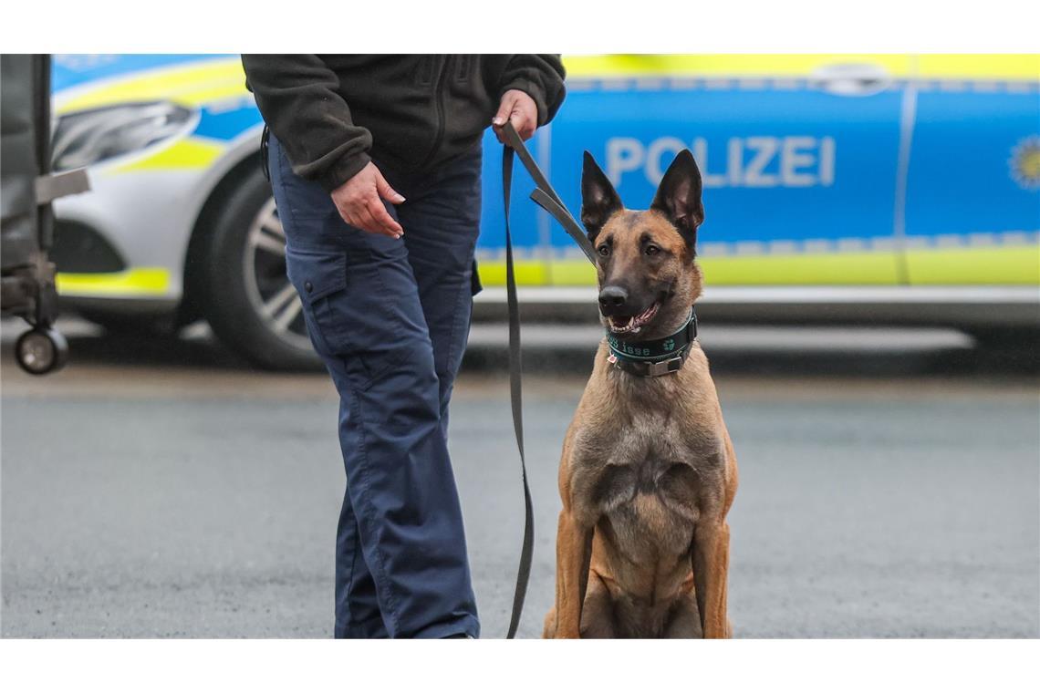 Die Polizei ist auch mit Hunden im Einsatz. (Symbolfoto)