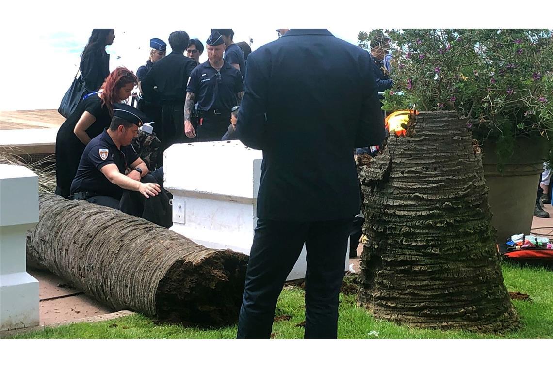 Mann durch umfallende Palme beim Filmfest Cannes verletzt Die Polizei sperrte den Unfallort am Rande des Getümmels der Filmfestspiele ab.