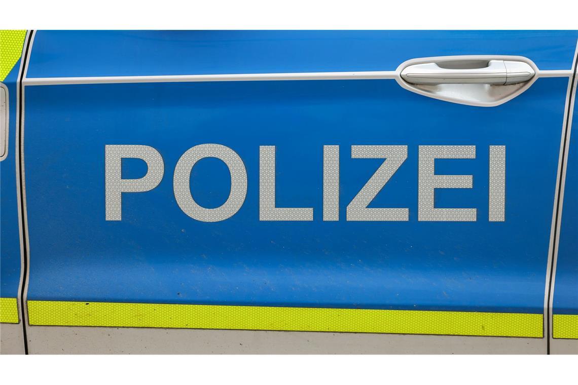 Großkatze im Süden Sachsen-Anhalts gesichtet Die Polizei sucht am Geiseltalsee in Sachsen-Anhalt nach einer Großkatze. (Symbolbild)