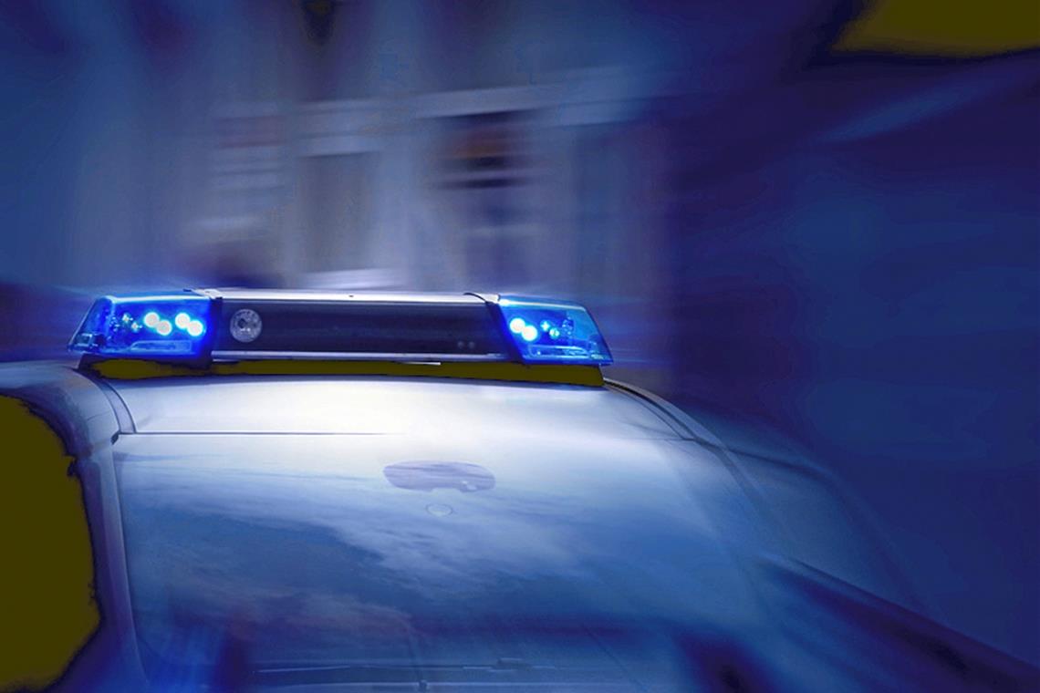 Besitzer von Pitbull-Terrier gesucht Die Polizei sucht den Besitzer eines Pitbulls. Der Kampfhund hatte in Backnang einen anderen Vierbeiner verletzt. Symbolbild: pattilabelle/stock.adobe