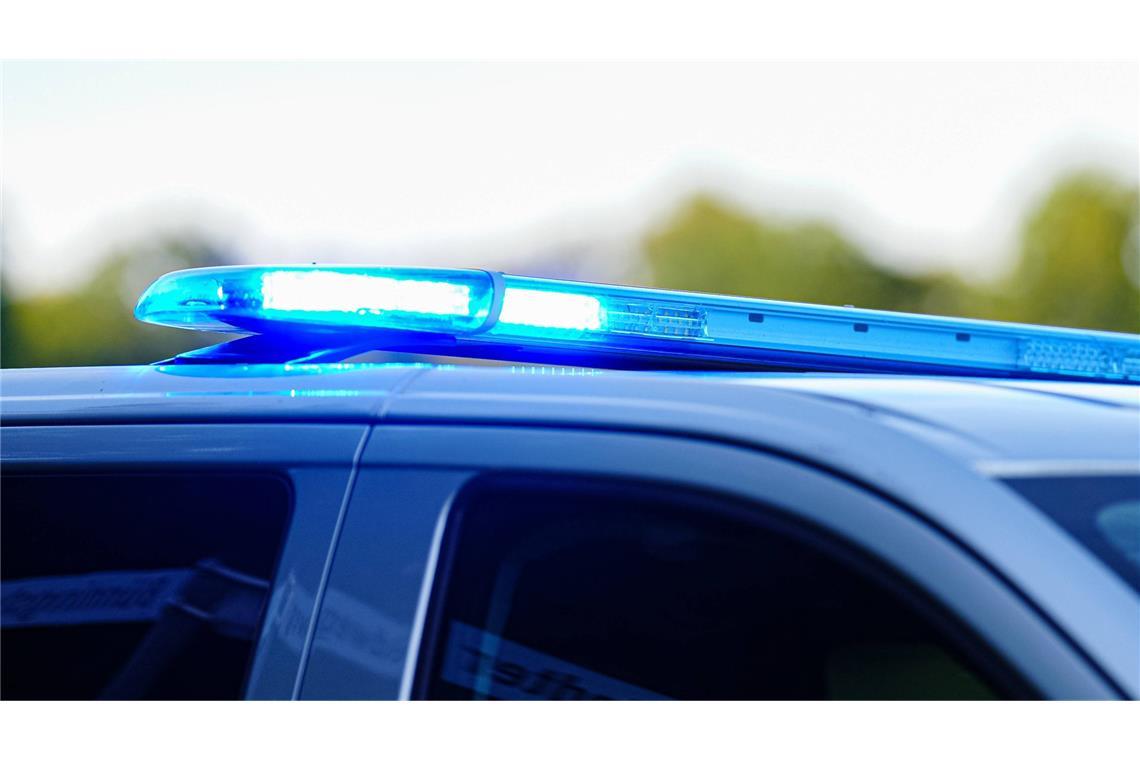 Erhängte Katze gefunden - Polizei sucht Täter Die Polizei sucht nach einem Unbekannten, der eine Katze zwischen Tomatenranken in Dettingen im Kreis Reutlingen erhängt haben soll (Archivbild).