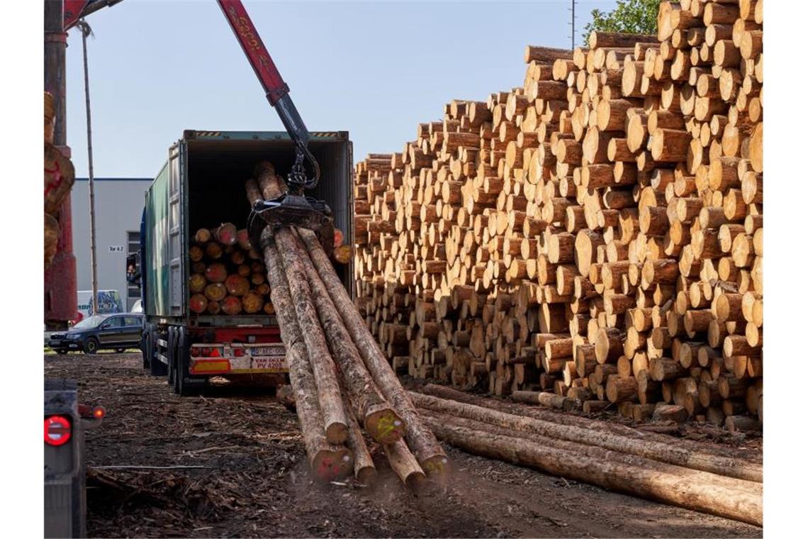 Die Preise für Holz sind im vergangenen Jahr deutlich gestiegen - besonders für Fichten. Foto: Thomas Frey/dpa