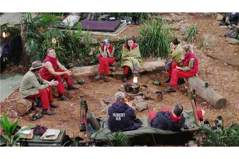 Die Promis im „Dschungelcamp“ von RTL kämpfen um 100.000 Euro Preisgeld – gewinnen kann nur einer.