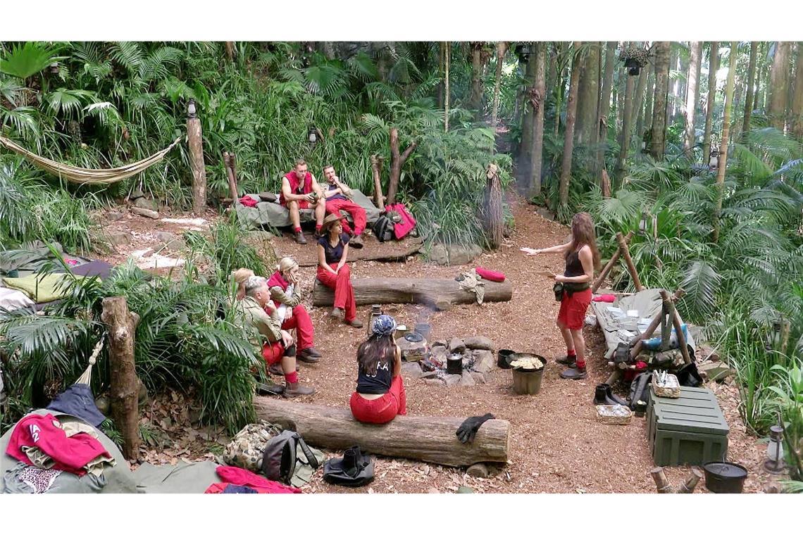 Die Promis kämpfen im „Dschungelcamp“ von RTL um 100.000 Euro. Doch nach und nach scheiden sie aus.