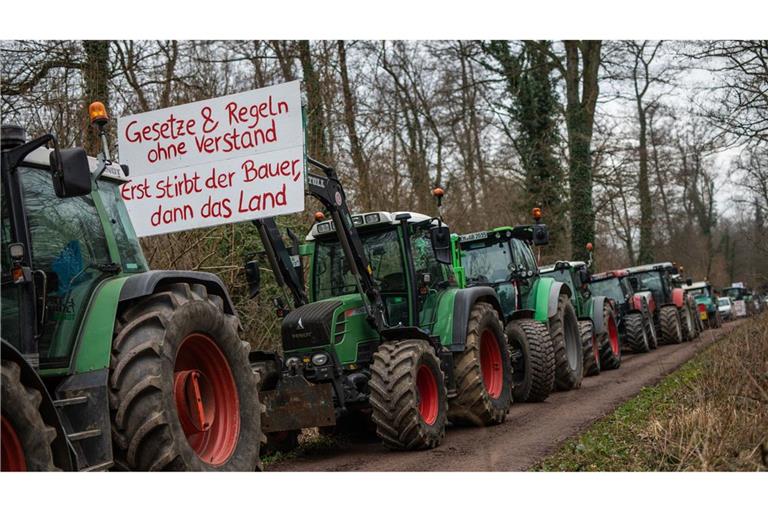 Die Proteste der Bauern haben offenbar eine Wirkung auf die EU-Institutionen gehabt. (Archivbild)