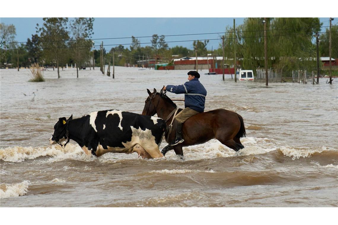 Unwetter in Argentinien: Schulkinder per Helikopter gerettet Die Provinz Buenos Aires ist eine bedeutende landwirtschaftliche Region.