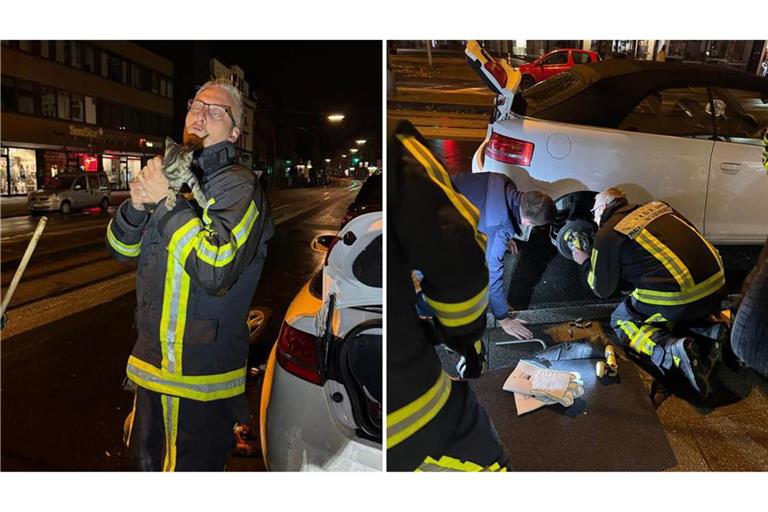 Die Rettung folgte nach stundenlanger Autofahrt.