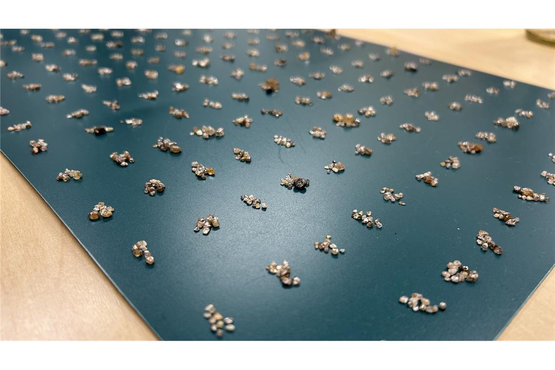 Die Rohdiamanten wurden bei der Einreise entdeckt. (Handout)