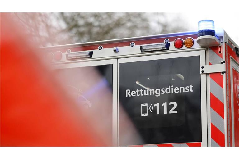 Die Sanitäterin kam leicht verletzt ins Krankenhaus, die Polizistin erlitt Hautabschürfungen. (Symbolbild)