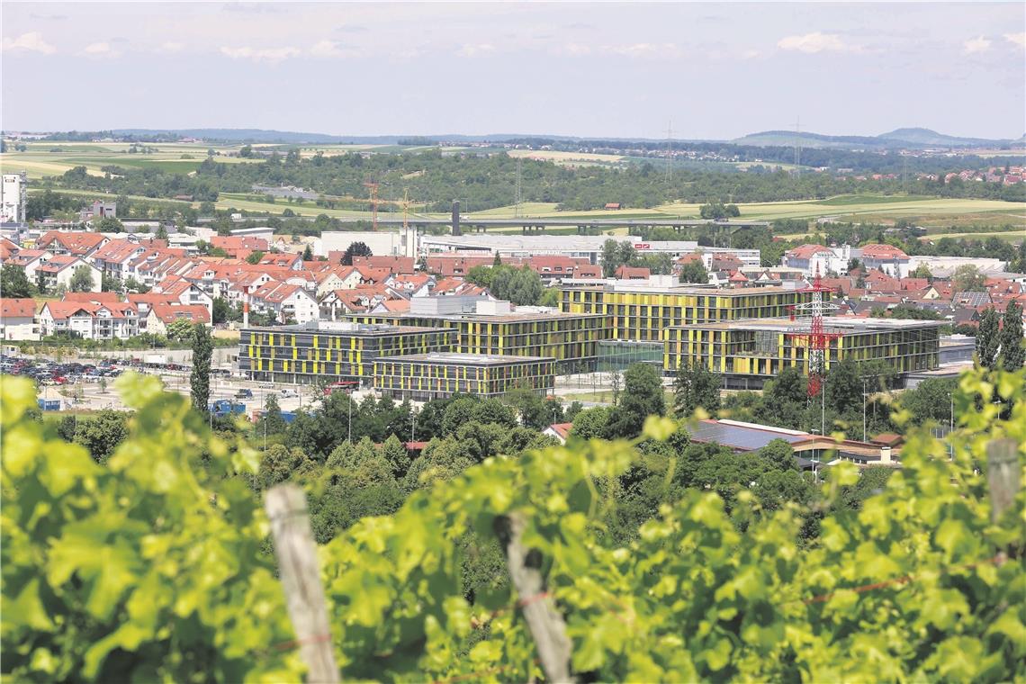 „Wir möchten gerne Winnenden kaufen“ Die Satirepartei „Die Partei Ortsverband Backnanger Bucht“ schlägt vor, Winnenden nach Backnang einzugemeinden. Dann hätte Backnang auch wieder ein Krankenhaus. Foto: A. Becher