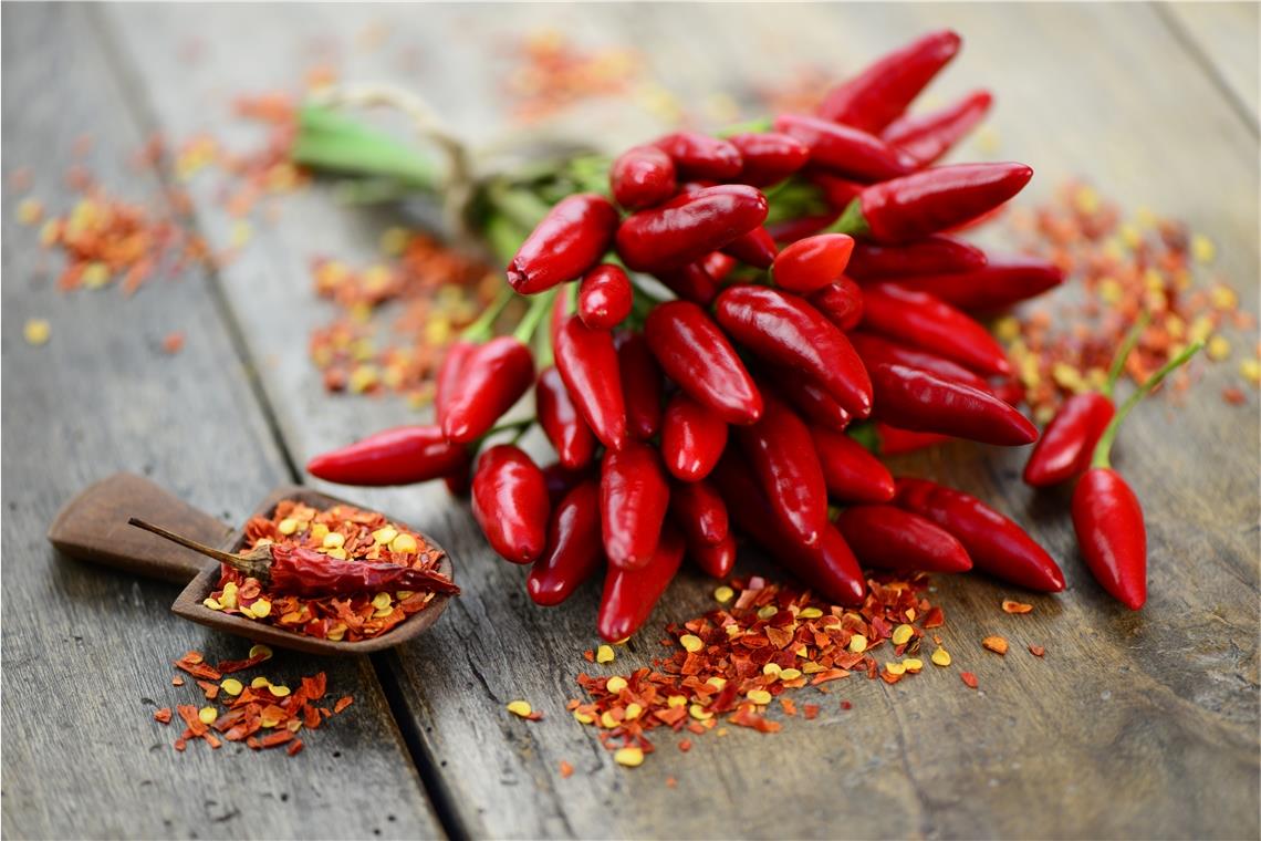 Die Schärfe der Nachtschattengewächse Chili, Peperoni und Paprika kommt von dem Stoff Capsaicin. Foto: Adobe Stock/photocrew