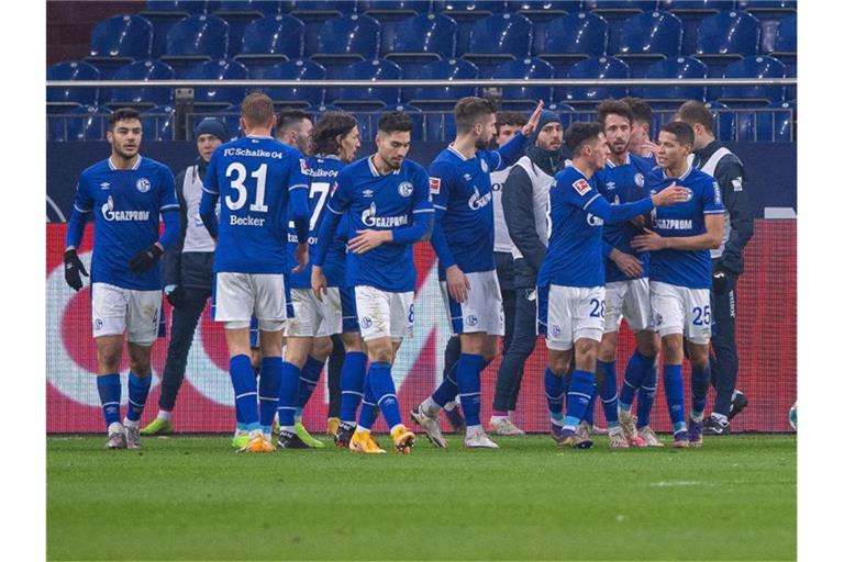 Die Schalker Spieler bejubeln das erlösende Tor zum 1:0 gegen die TSG Hoffenheim. Foto: Guido Kirchner/dpa