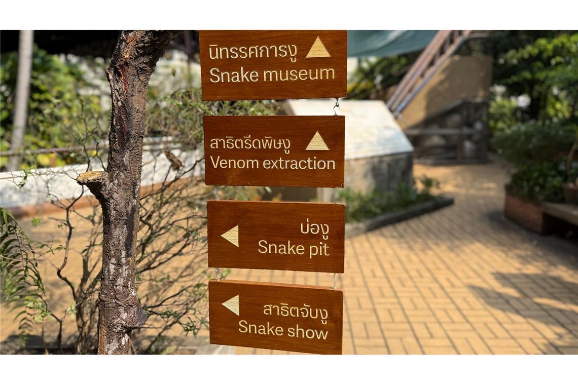 Die Schlangenfarm zur Gewinnung von Antiserum ist eine der ältesten ihrer Art weltweit.