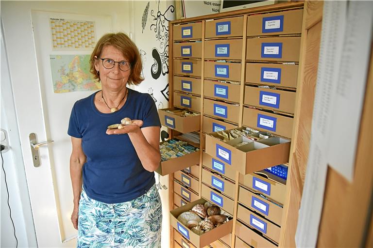 Die Schneckensammlerin und studierte Biologin Annette Rosenbauer steht vor ihrem Schrank mit Tausenden fein säuberlich sortierten Exemplaren von Schneckenhäusern. Foto: Tobias Sellmaier