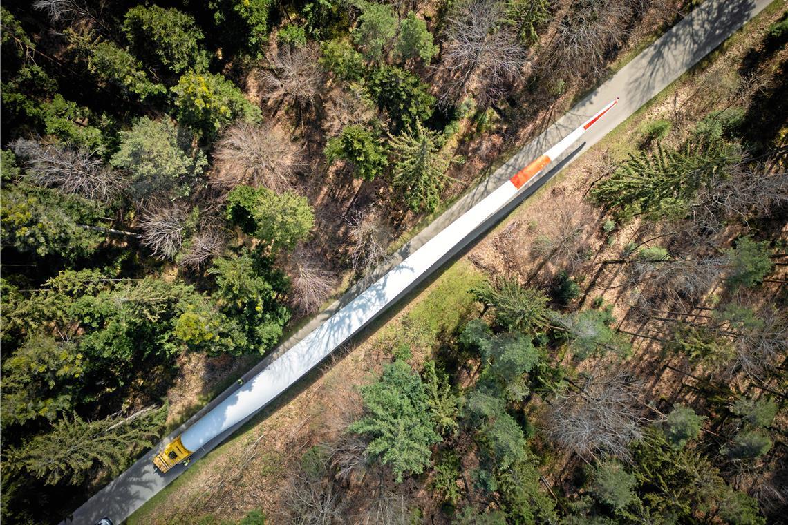 Die Schneisen durch den Wald für die Standort 5 und 6 wären einigen in Oppenweiler zu viel gewesen. Hier sieht man einen Erschließungsweg in Sulzbach-Laufen. Archivfoto: Alexander Becher
