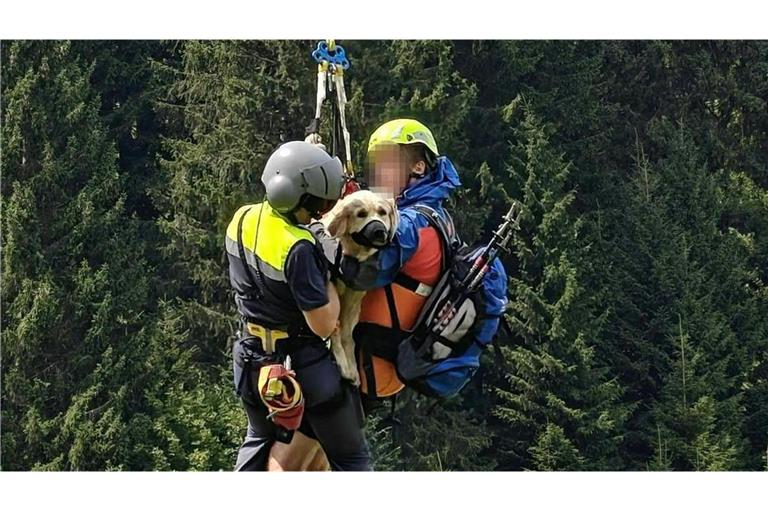 Die schwer verletzte Hündin eines deutschen Urlauberpaars wird nach einem Sturz über steiles Gelände per Hubschrauber geborgen.
