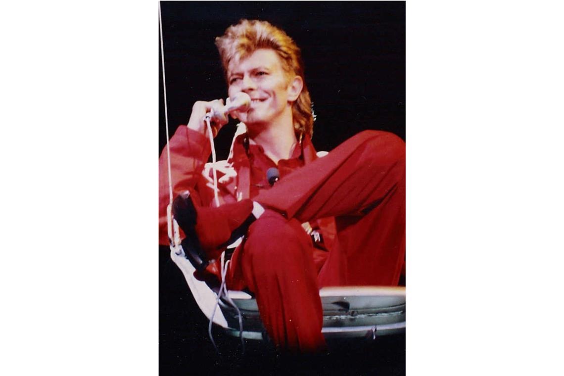 Die seltene Spinne wurde von Peter Jäger entdeckt. Er  wollte mit dem berühmten Namen dafür sorgen, dass die gefährdete Art  ins Gespräch kommt  – wie einst der berühmte David Bowie.