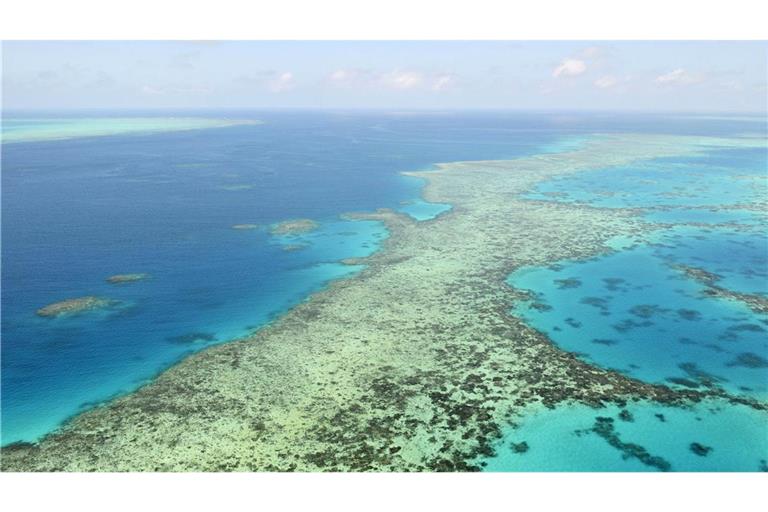 Bei Landausflug gestorben: Kreuzfahrtpassagierin auf Insel vergessen Die Seniorin war beim Landgang auf einer Insel im Great Barrier Reef versehentlich zurückgelassen worden und starb. (Archivbild)