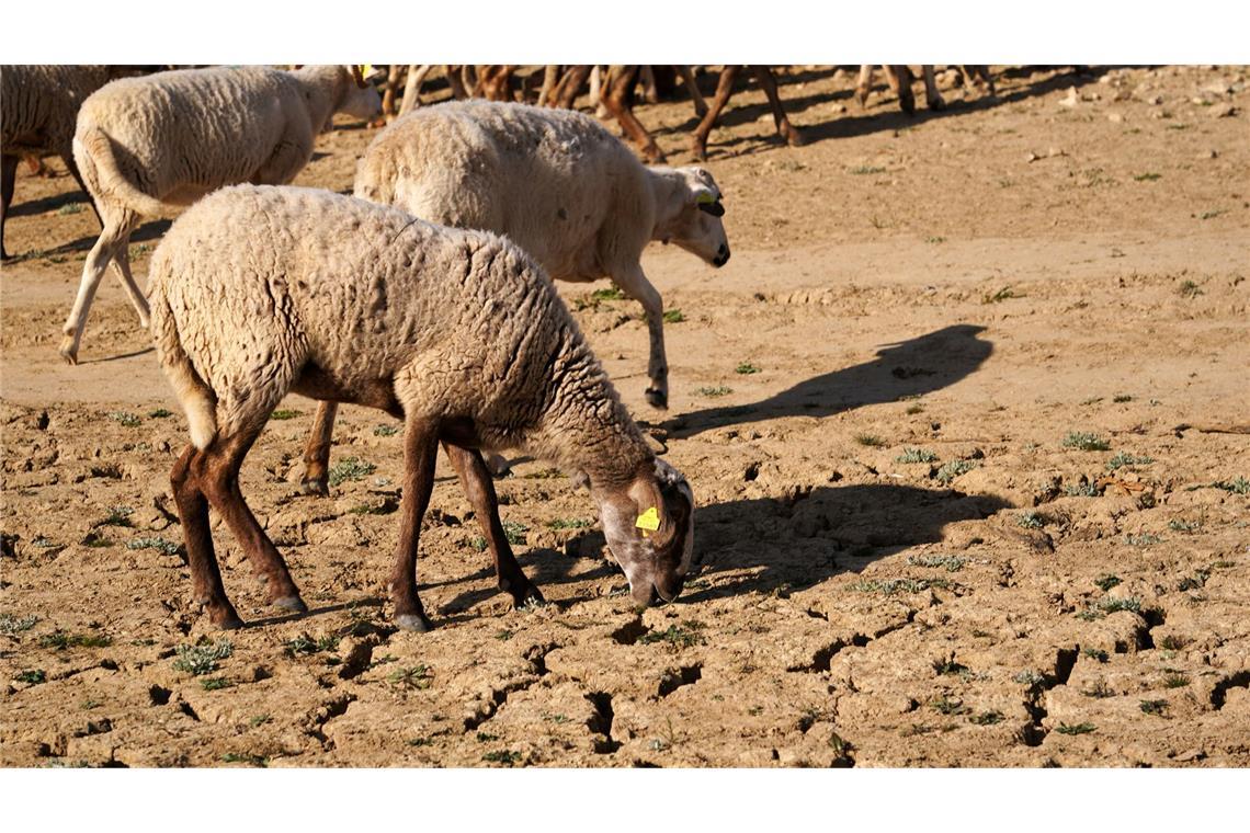 Die Serie schwerer Winterstürme mit Starkregen trifft eine Region, die sonst unter Wassermangel leidet.